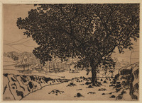 KG 09649
<br/>
Gezicht op de haven van Collioure
<br/>
<em>Bosch, Lodewijk Johannes (1894-1980)</em>
